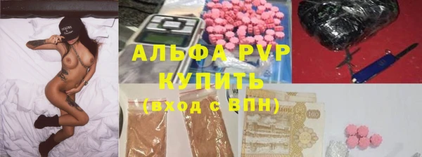 прущие грибы Балабаново