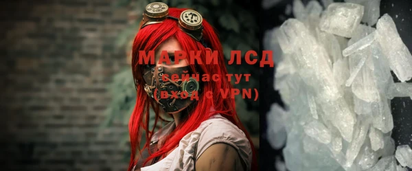 прущие грибы Балабаново