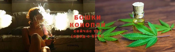 прущие грибы Балабаново