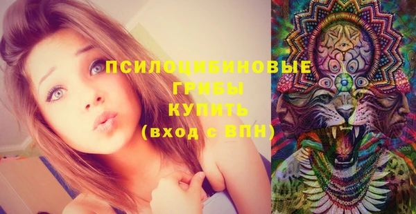 ALPHA PVP Баксан