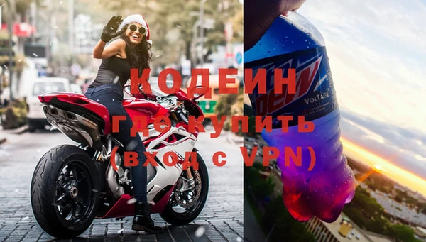 прущие грибы Балабаново