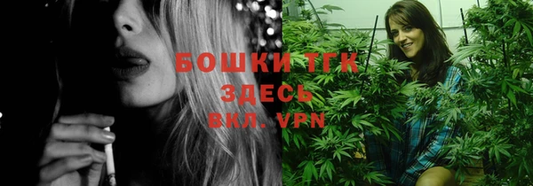 прущие грибы Балабаново