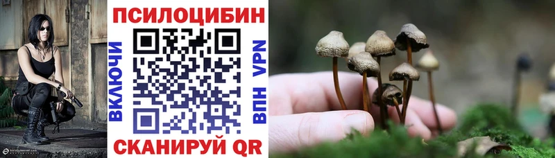 shop формула  Курчатов  Псилоцибиновые грибы GOLDEN TEACHER 